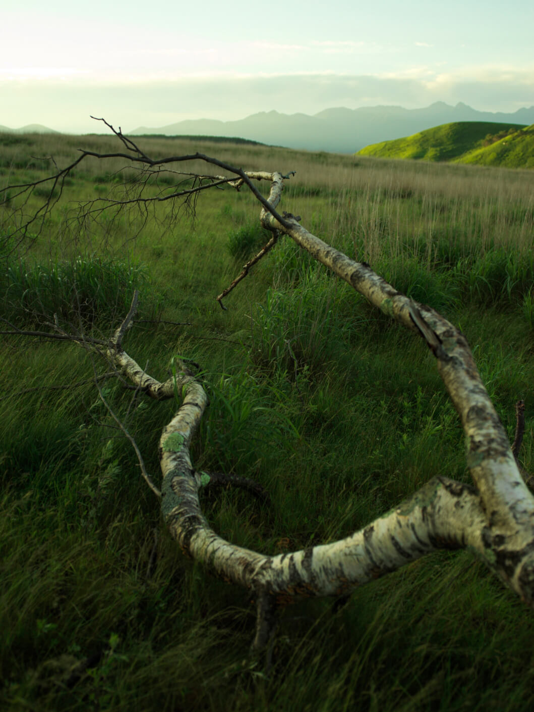 SHIPS FOR MEN 2023 FALL AND WINTER ｜ To a new wander